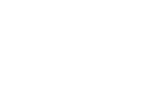 REIN Capital