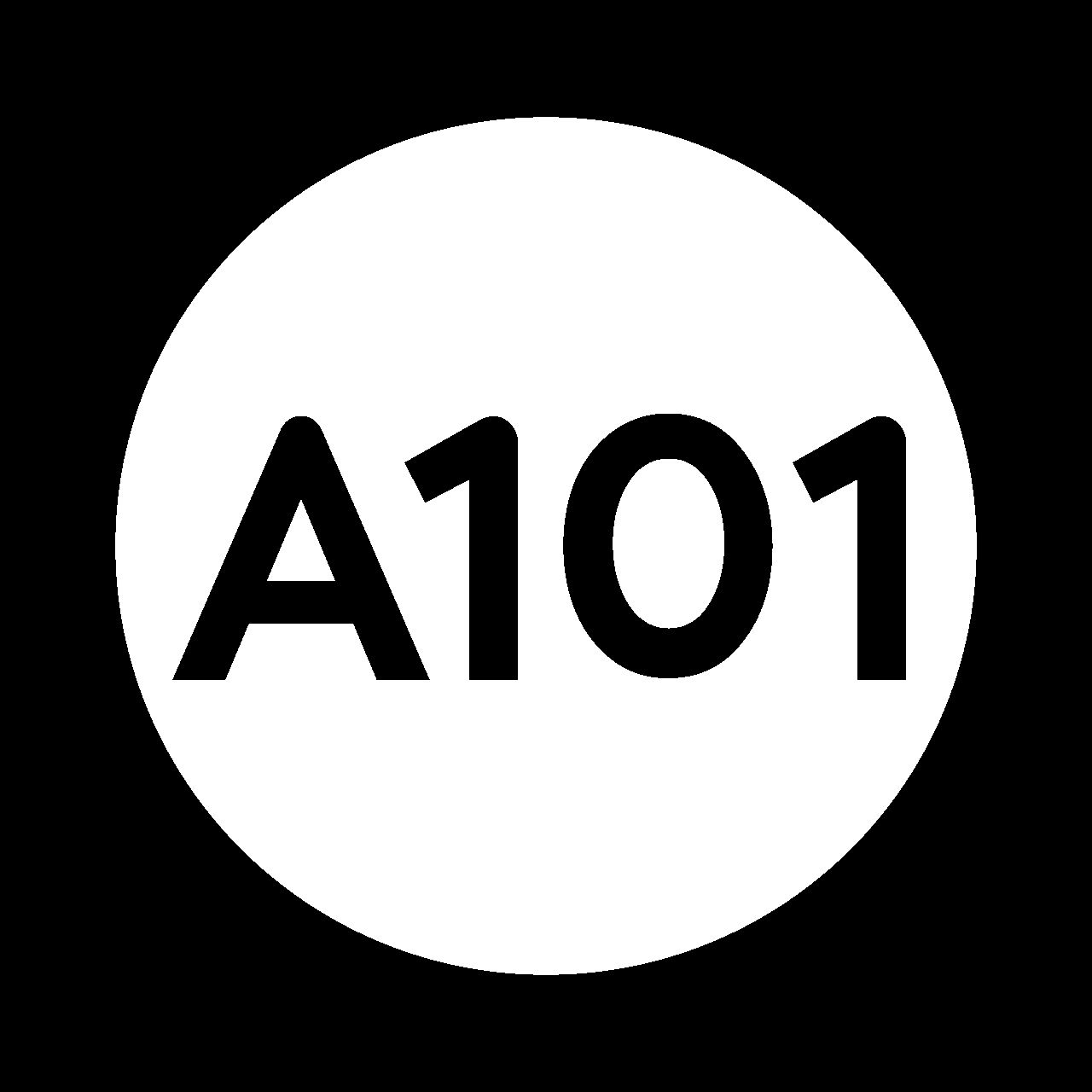 А101